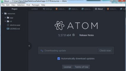 Atom